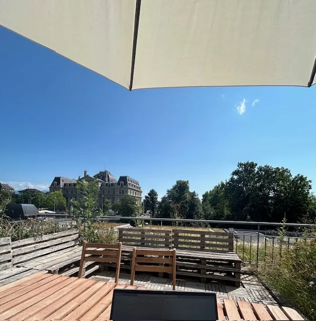 Appartamento loft nel cuore di Flon con terrazza privata sulla copertura
