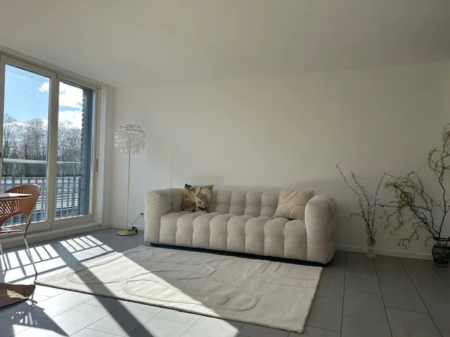Appartamento loft nel cuore di Flon con terrazza privata sulla copertura