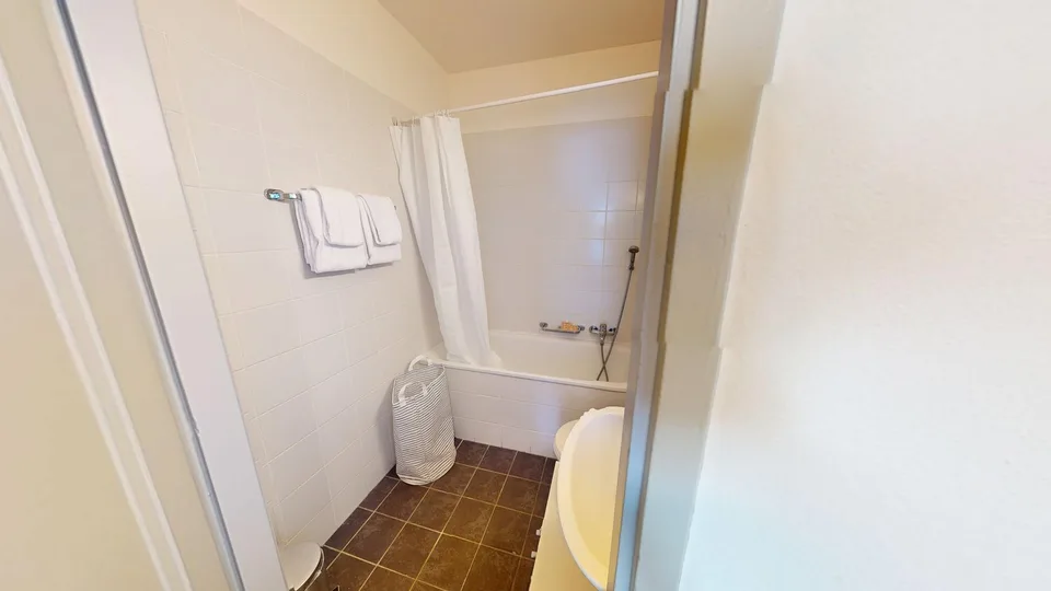 Lovely 1-bed with Balcony in Geneva's Charmilles District – foto 12 di 13