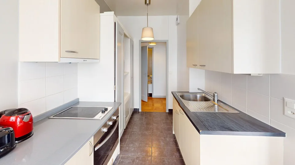 Lovely 1-bed with Balcony in Geneva's Charmilles District – foto 7 di 13