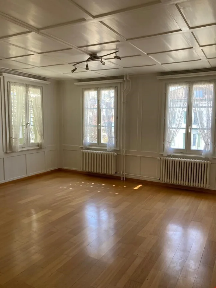 heimelige und sehr helle 3-Zimmerwohnung