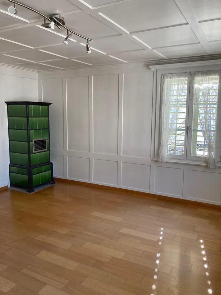 heimelige und sehr helle 3-Zimmerwohnung