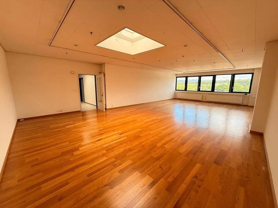 TO SEIZE - OFFICES IN ECHANDENS – photo 7 of 12