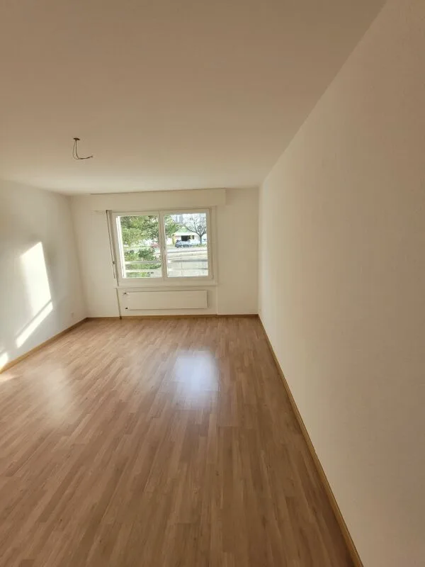 Appartement dernièrement rénové !