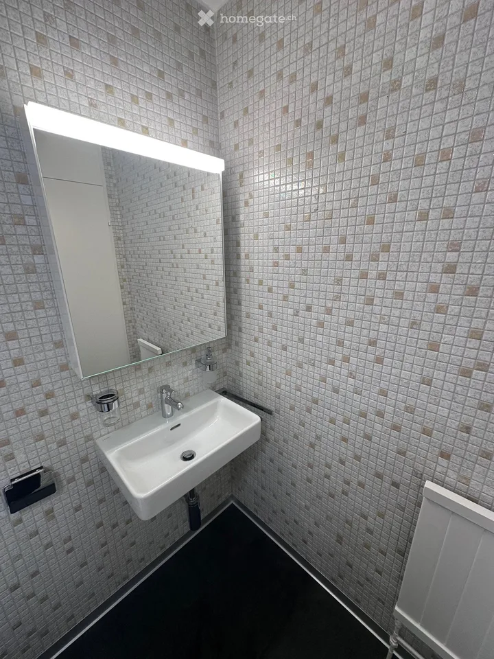1-Zimmer-Wohnung