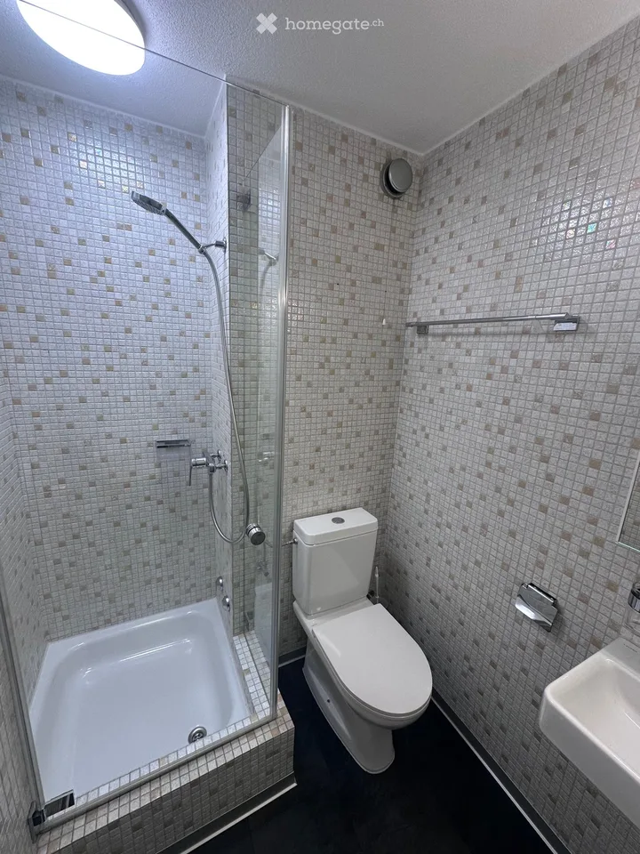 1-Zimmer-Wohnung