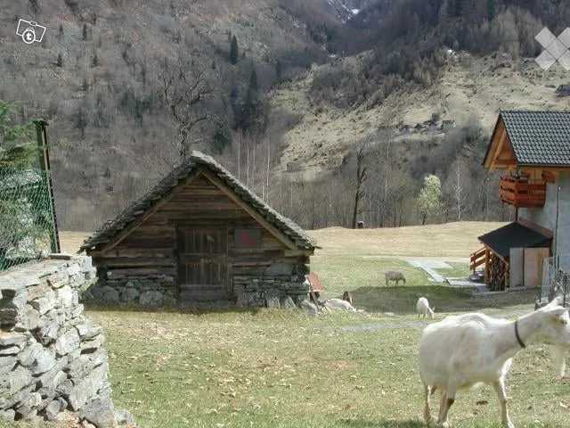 RUSTICO da riattare a NIVA Campo Vallemaggia