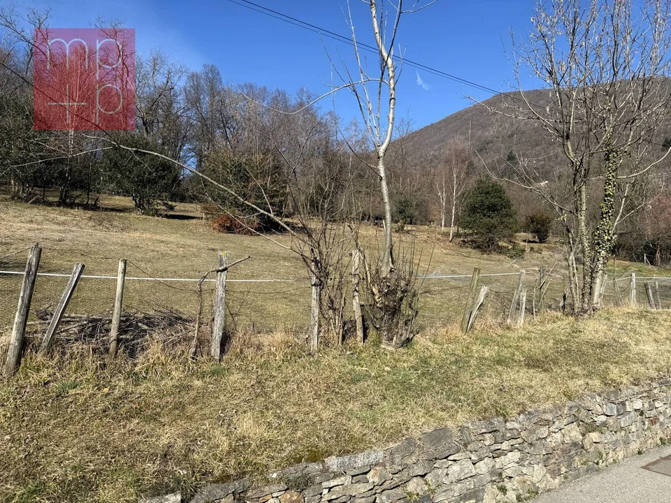 Terreno per costruire - Sessa – foto 6 di 8