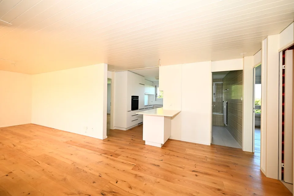 Appartement spacieux de 5 pièces dans un quartier calme avec garage à un emplacement exclusif sur Bruderholz