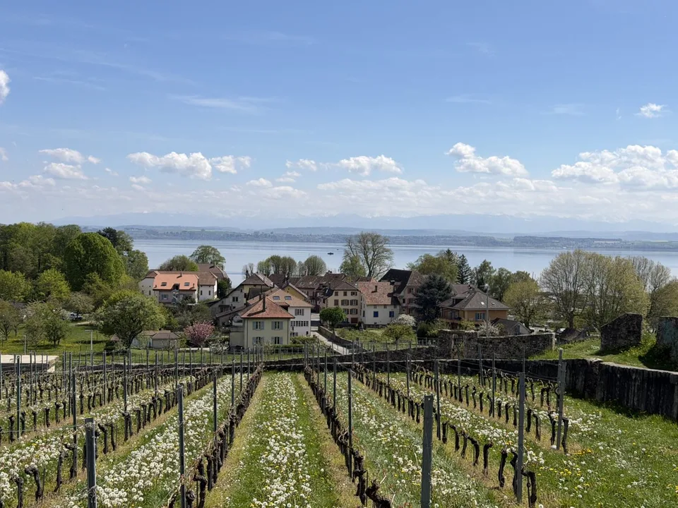 Charme et authenticité à deux pas du lac