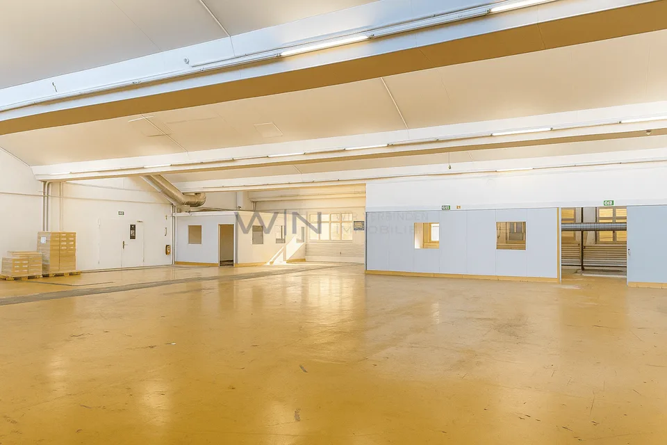Ideal für Padel, Gym & Kletterhalle!