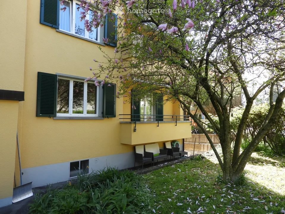 Charmante 3-Zimmer-Wohnung mit Balkon in Wädenswil