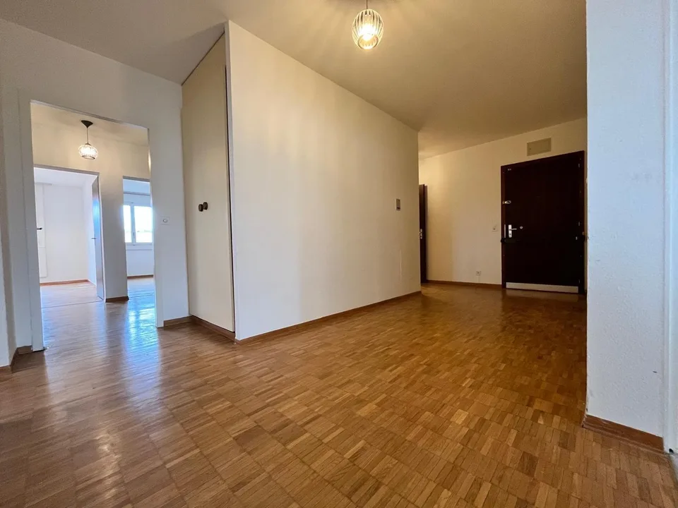 Appartement rénové de 4 chambres, 177 m² PPE, vue panoramique (Meyrin)