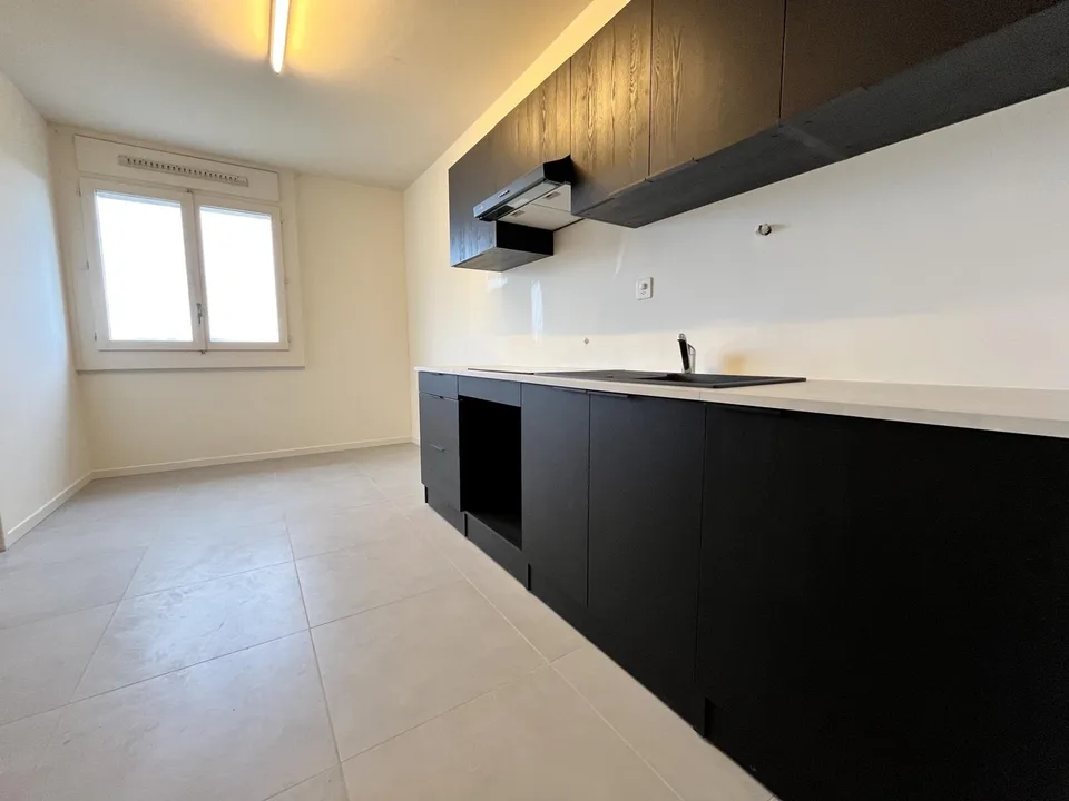 Appartement rénové de 4 chambres, 177 m² PPE, vue panoramique (Meyrin)