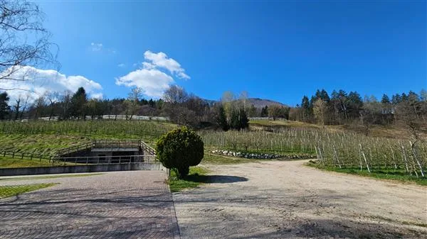 Pergine Valsugana: Hotel – Foto 8 von 11