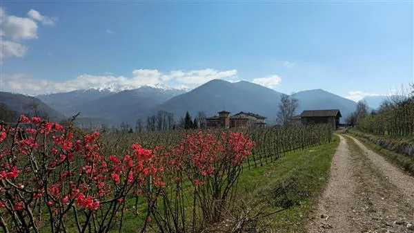 Pergine Valsugana: Hotel