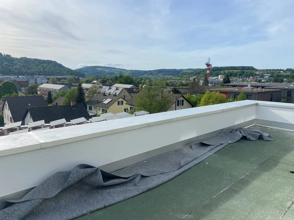 4.5-Zimmer-Doppeleinfamilienhaus an einzigartiger Hanglage – Foto 28 von 39