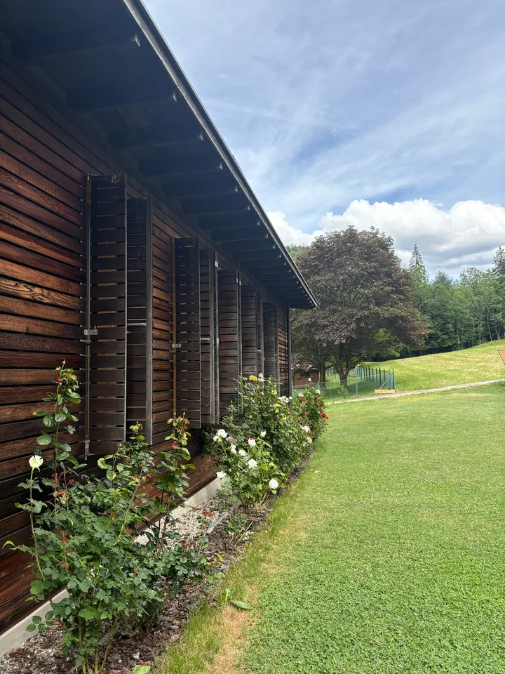 Casa di design in legno immersa nel verde – foto 19 di 29