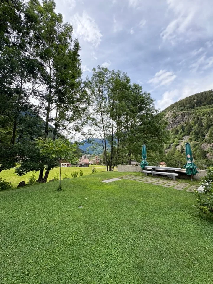 Casa di design in legno immersa nel verde – foto 15 di 29