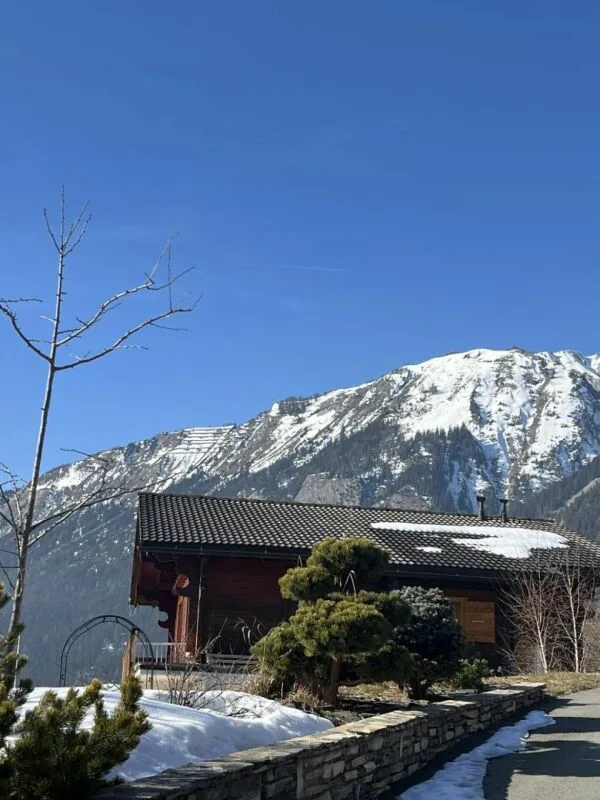 Chalet mit 8 Zimmern in Arbaz