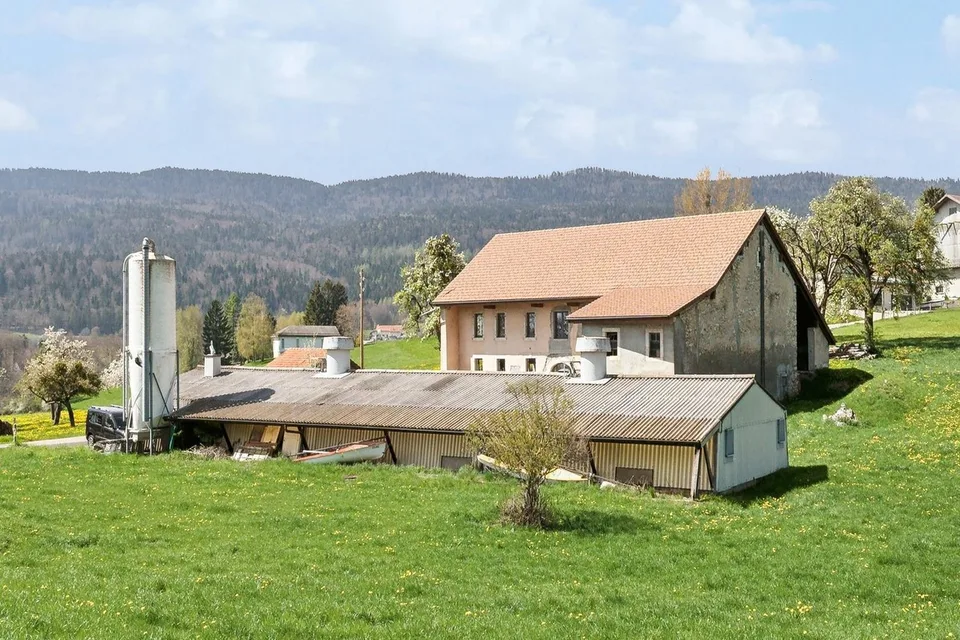 Zu renovieren: Großes Volumen und gutes Potenzial