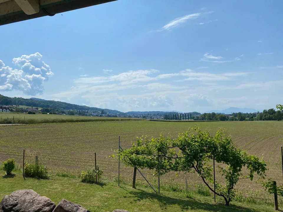 Bauland direkt an der Landwirtschaftszone in Hedingen ZH