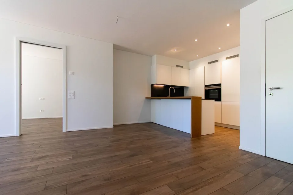 Modern 2.5 room apartment with garden in Massagno