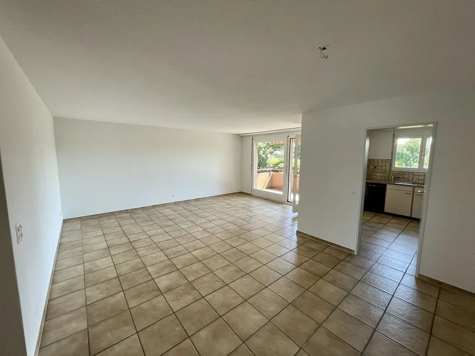 Grosse 3 1/2-Zimmerwohnung, 1. Stock links