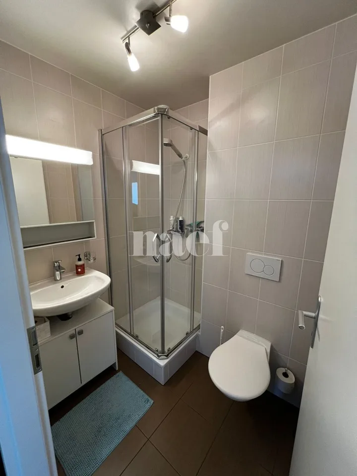 Duplex mit 4.5 Zimmern und Blick auf den Salève – Foto 21 von 22