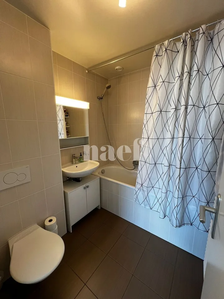 Duplex mit 4.5 Zimmern und Blick auf den Salève – Foto 20 von 22