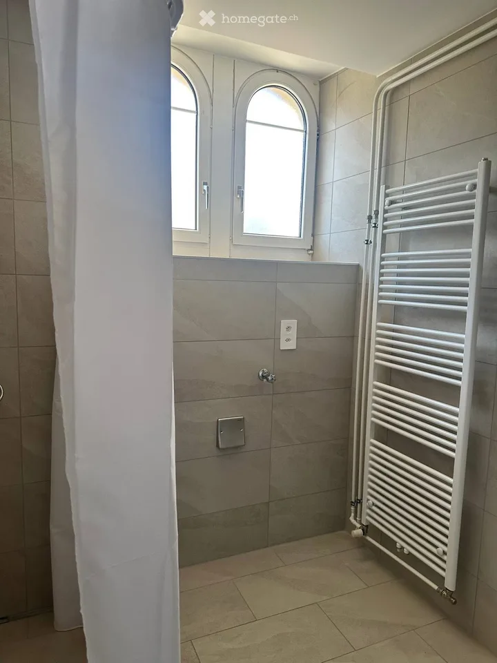 Appartamento 3 locali ristrutturato
