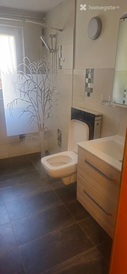 Great 7-room single-family house with lake view