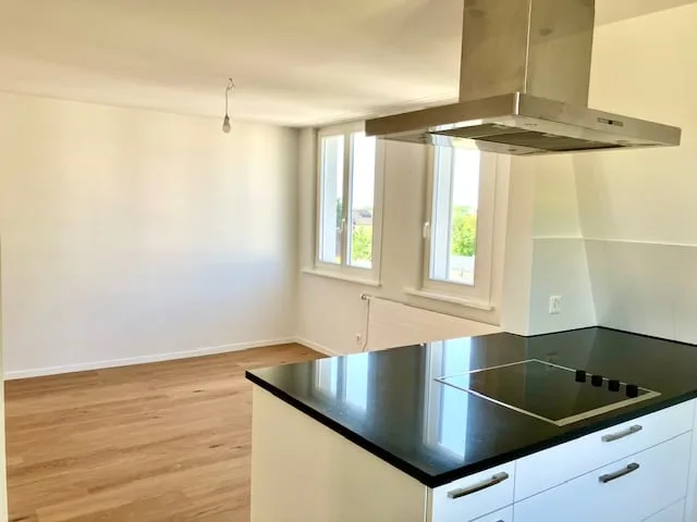 Edificio antico appartamento a due piani di 5,5 locali con vista panoramica ad Arbon