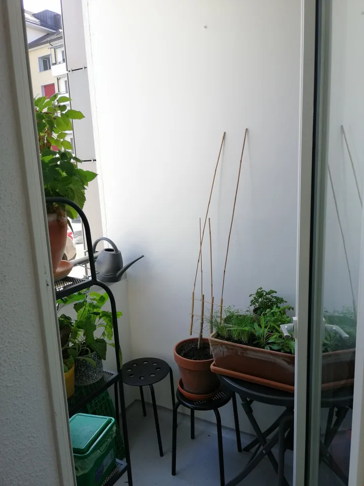 Appartement de 3 pièces calme et pourtant centralement situé