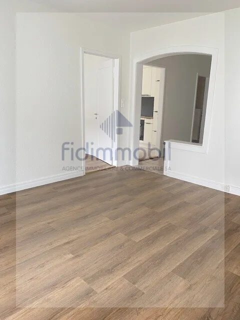 Appartamento completamente ristrutturato