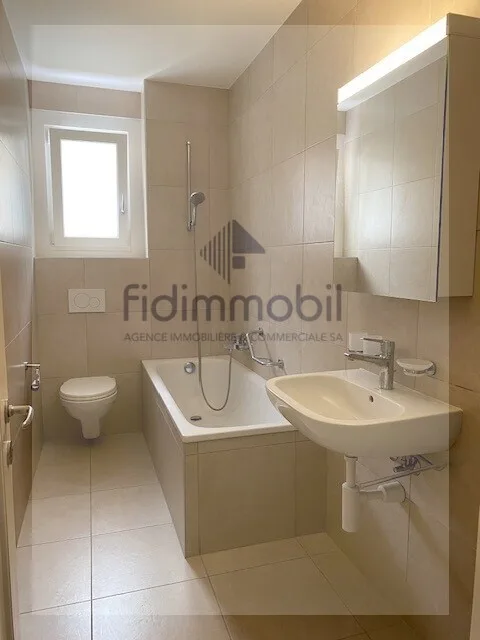 Appartamento completamente ristrutturato