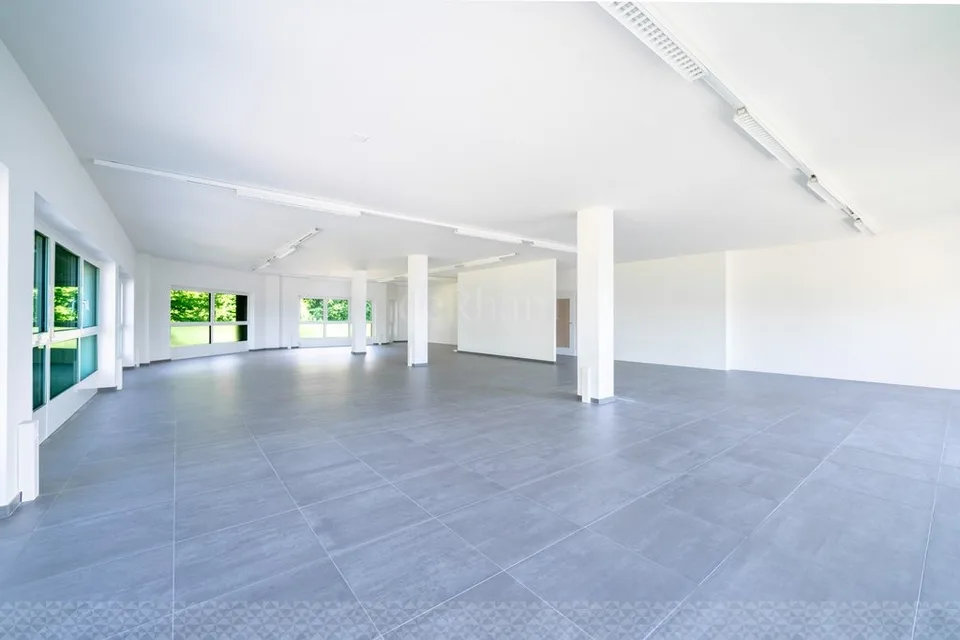 Superficie di ufficio di 178m2 divisibile a Saint-Légier - 3 affitti offerti – foto 8 di 8