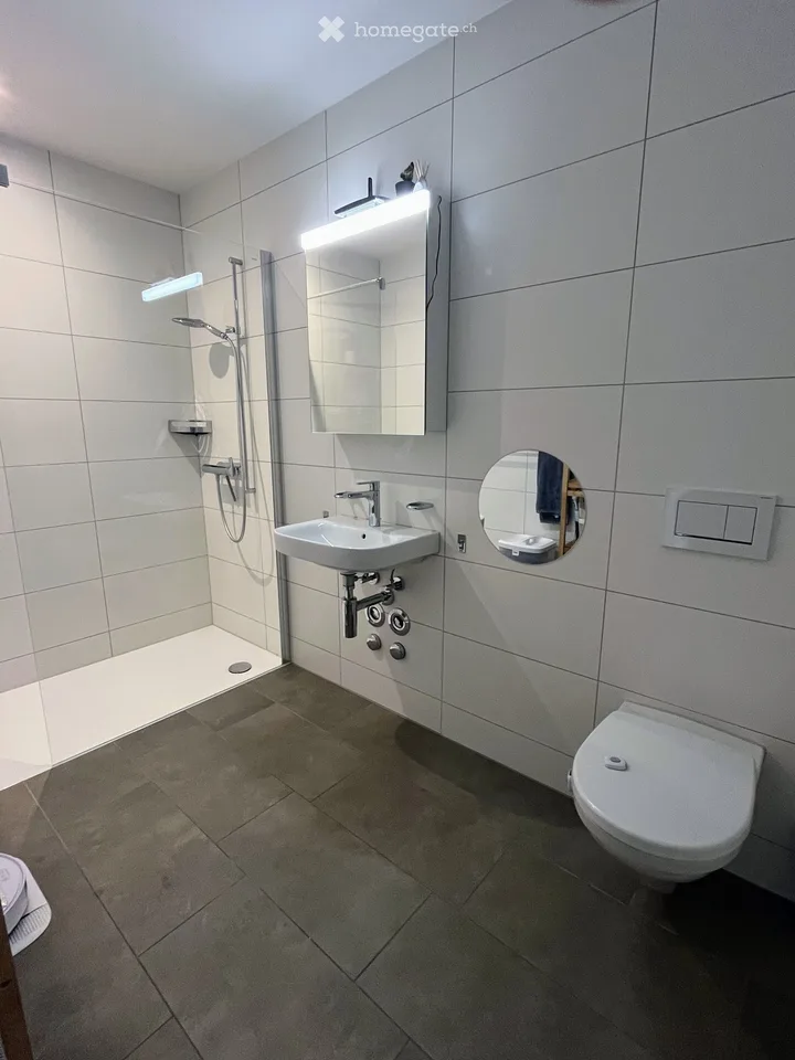Grosszügige moderne 4 1/2 Zimmerwohnung im Wasserschloss