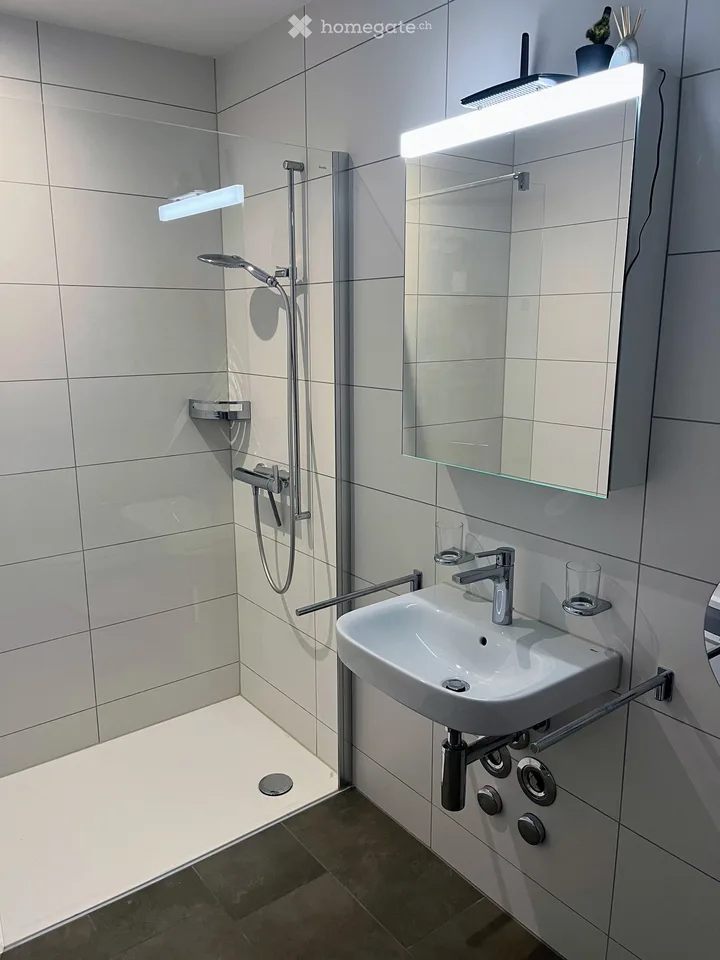 Grosszügige moderne 4 1/2 Zimmerwohnung im Wasserschloss