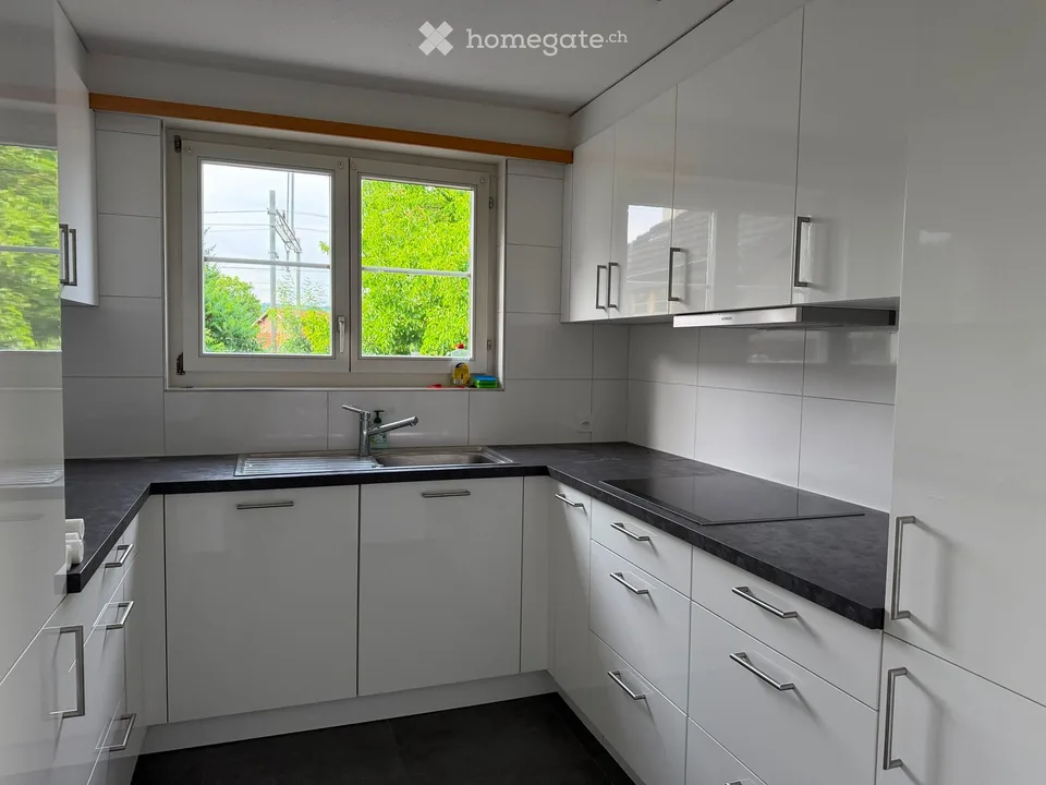 Doppeleinfamilienhaus in Rekingen AG