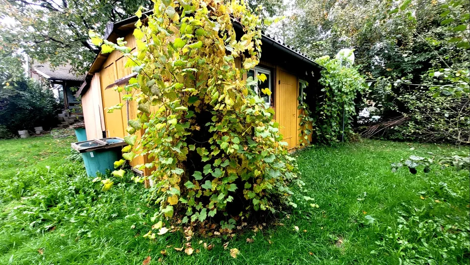 Gartenhaus * Hobbyraum * Bastelraum * (nur ruhige Tätigkeiten erlaubt)