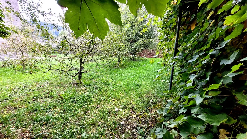 Gartenhaus * Hobbyraum * Bastelraum * (nur ruhige Tätigkeiten erlaubt)