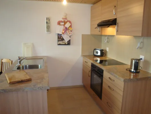 In affitto meraviglioso loft al piano terra a Vevey