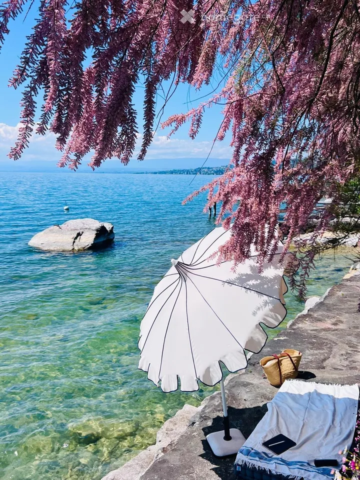 In affitto: Appartamento eccezionale sulle rive del Lago di Ginevra