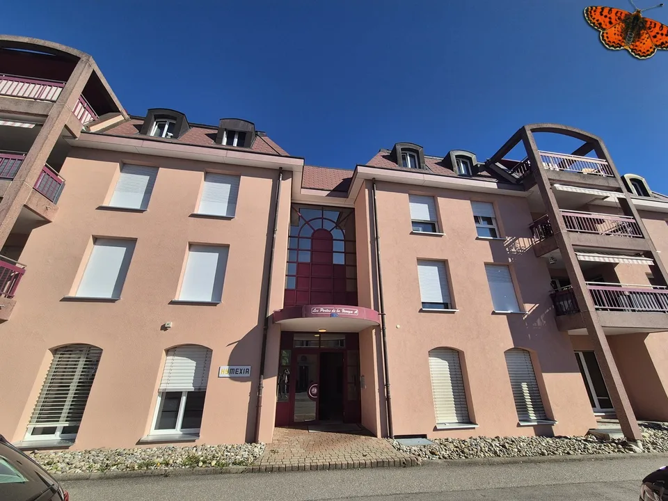 SUPERFICIE COMMERCIALE MAGNIFICA DI 236m²