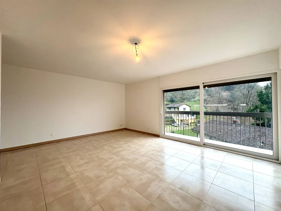 Wohnung - Viganello