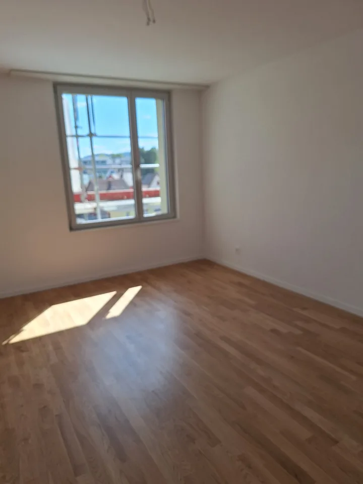 neu renovierte 3.5-Zimmer-Attika-Wohnung