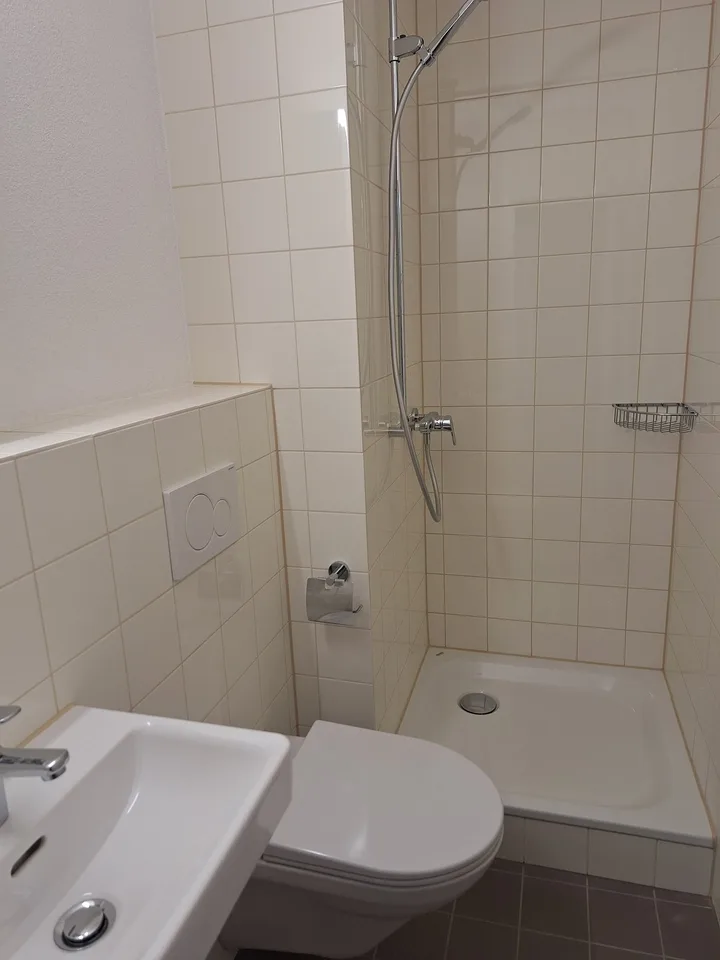 neu renovierte 3.5-Zimmer-Attika-Wohnung