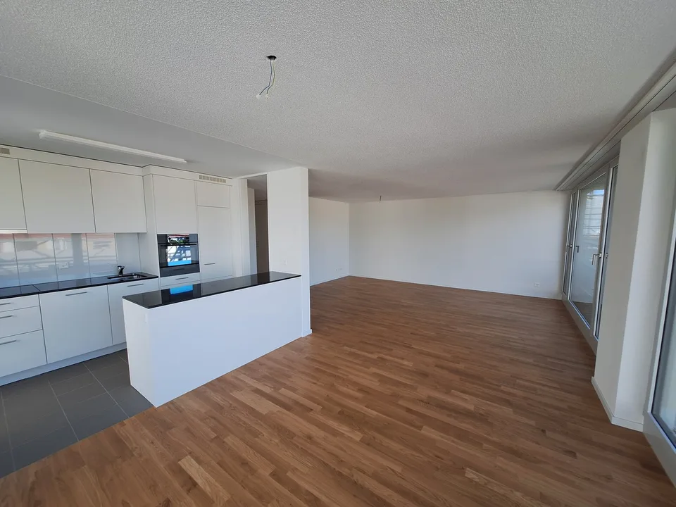 neu renovierte 3.5-Zimmer-Attika-Wohnung