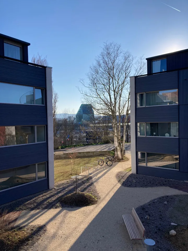 Neuwertige, sonnige 4.5-Zimmer-Wohnungen in Birsfelden – Foto 16 von 18
